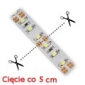 led ciecie 5.jpg