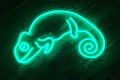 Taśma LED NEON FLEX (60W/5m) IP65 RED 12V