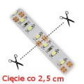 led ciecie 25.jpg