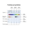 DL-Pilot naścienny RF 4-strefowy MULTI 5w1