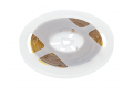 Taśma GTV LED COB(55W/5m)1600 Led 12V
