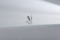 DSC_3360-2.jpg